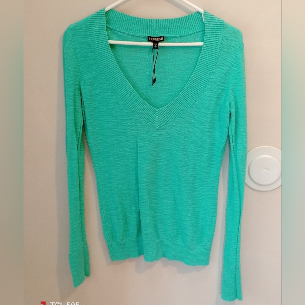Express Aqua V-Neck Sweater
